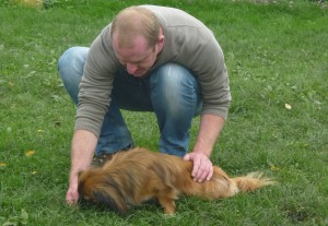 Education canine Vendée en cours individuel avec olivier