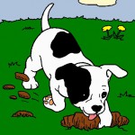 Comportementaliste pour chien à La Roche sur Yon - Chien qui creuse