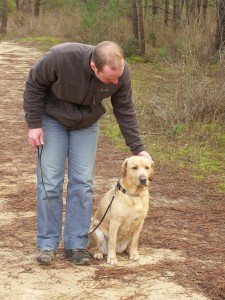 Méthodes d'éducation canine - Elfie au assis