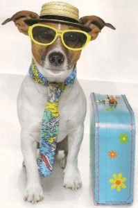 Dresseur de chien en Vendée : Les modes de garde