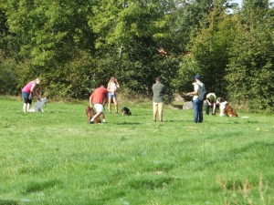 Photos cours collectifs