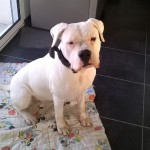 Ines au assis pas bougé