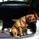 Titou dans la voiture