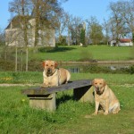 Elfie et Iona au Vendespace