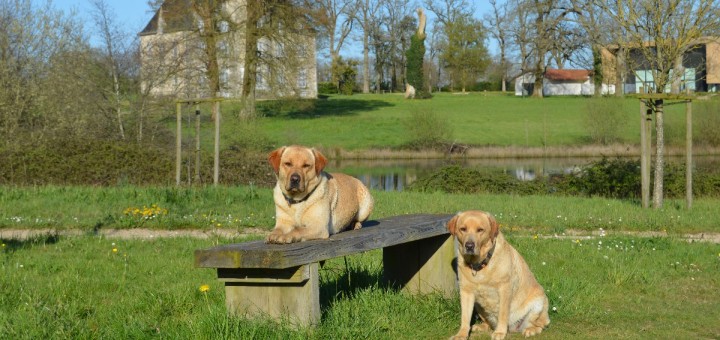 Elfie et Iona au Vendespace
