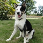 Loupio et sa languette!