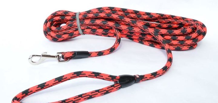 Notice d'utilisation de la manipulation de la longe pour chien